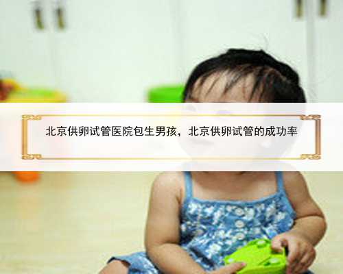 北京供卵试管医院包生男孩，北京供卵试管的成功率