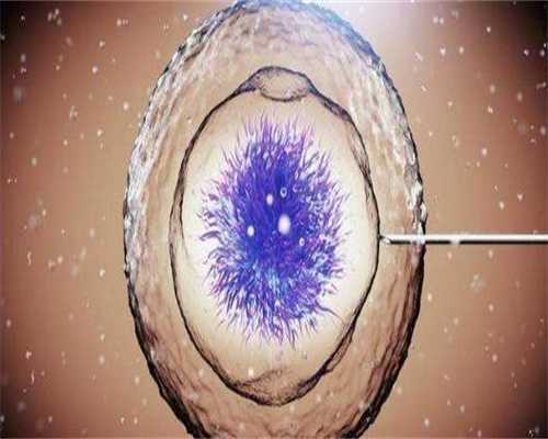 试管婴儿术前检查后多久能移植