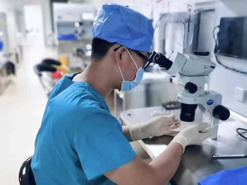 代怀助孕机构-外阴炎影响月经吗