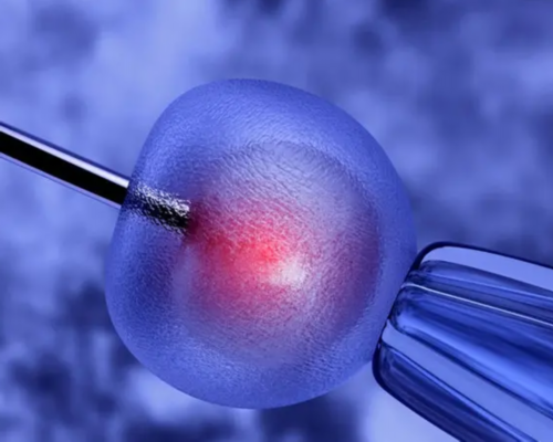 北京协和医院试管婴儿流程，费用多少