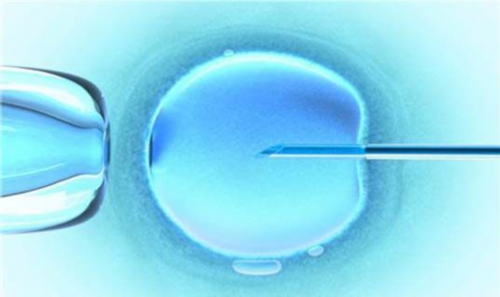 HONORLADY：当归-补血活血、调经止痛