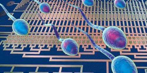 生化妊娠hcg下降缓慢是为什么