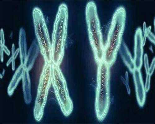 反复宫腔黏连且子宫内膜薄