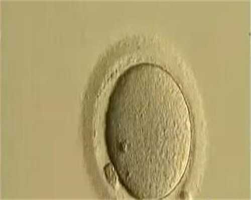 备孕哪些水果要少吃？女性备孕能不能吃荔枝？