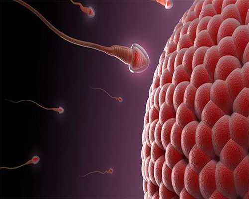 供卵咨询-女人来月经后几天排卵(来月经后多少天排卵)