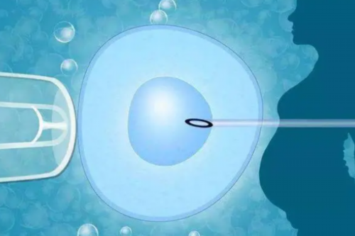 供卵价格:二胎备孕检查二胎孕前检查免费吗