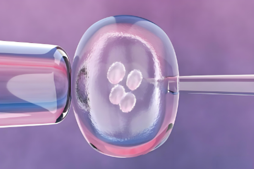借卵助孕公司-试管移植失败20天后该怎样快速恢复卵巢？
