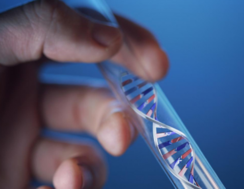 b超有两点基本是男孩？怀男孩的b超特征？