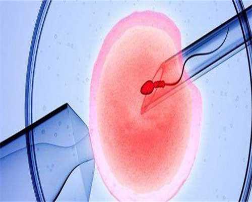 备孕女性吃鹿胎膏易受孕吗