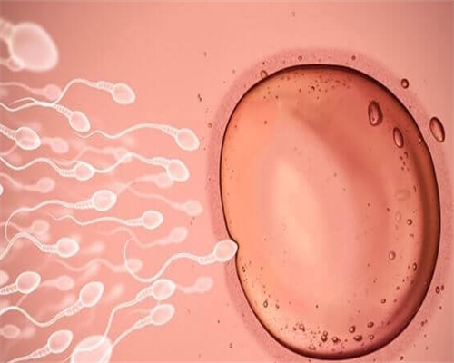 卵巢囊肿6cm算大吗