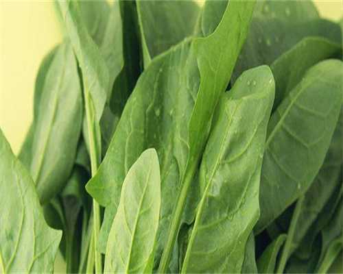 弱精少精做试管婴儿成功率高吗