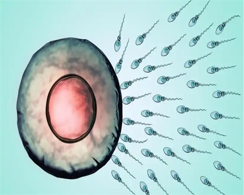 月经不规律怎么调理