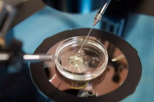 美国三代试管hcg会翻倍吗？美国三代试管血值翻倍缓慢的原因