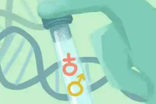 权威助孕医院-移植后保胎的黄金时间要抓住,移植成功后如何保胎