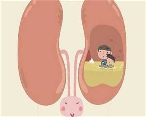 代孕宝宝地址-b超检查有卵泡说明了什么?b超检查有卵泡是什么?