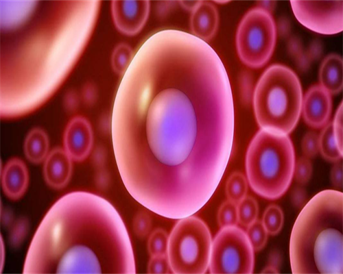 b超监测卵泡无优势卵泡(有优势卵泡几天排卵?)