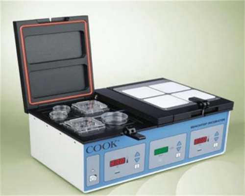 备孕几个月怀不上的原因