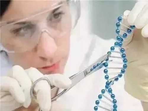 月经不规律如何调理好呢