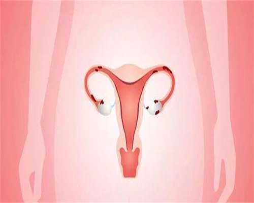 孕妇梦见老鼠的七大预兆孕妇梦见老鼠吉凶解梦