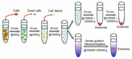 私立助孕医院-二胎试管移植流程是怎样的?