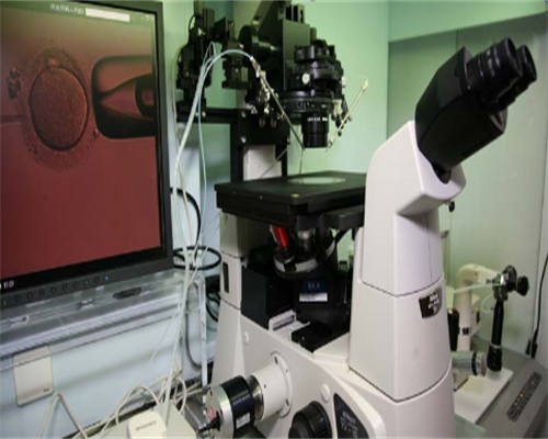 南京妇幼保健院可以做供卵试管婴儿吗？成功率高吗？