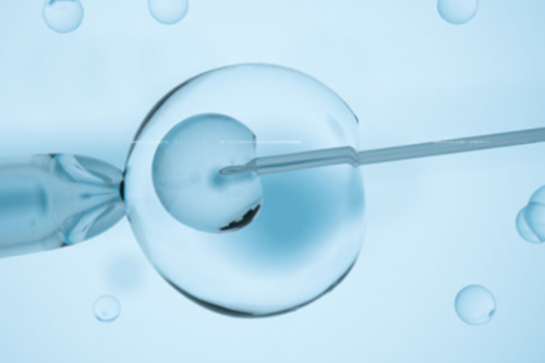 试管可不可以要求放两个囊胚?做试管囊胚能放几个?