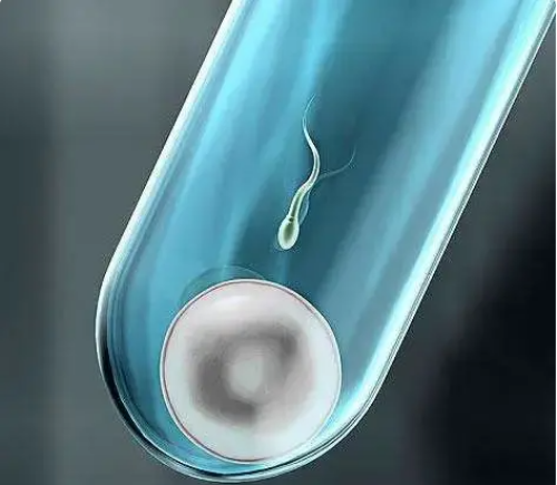 试管代生收费:销毁胚胎需不需要双方到场？