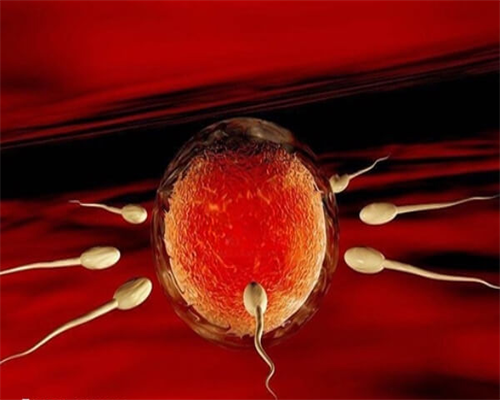 代生儿子电话-宿迁三代试管生出的孩子会有问题吗宿迁三孩政策