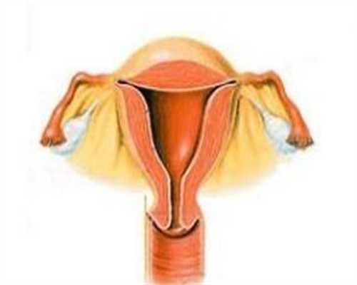 孕囊发育不良的原因有哪些?孕囊发育不良的原因