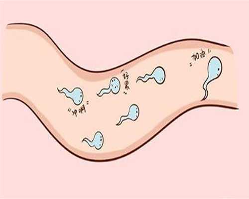 汤臣倍健备孕,汤臣倍健备孕男人可以吃吗