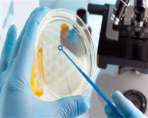 备孕发现子宫肌瘤怎么办