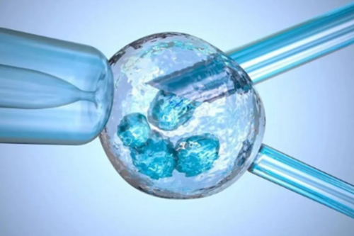 代生孩子价格-引发宫腔粘连的因素是什么