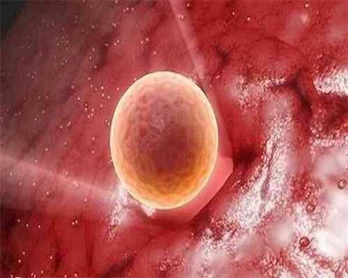 藏红花可以抑制子宫内膜增厚吗