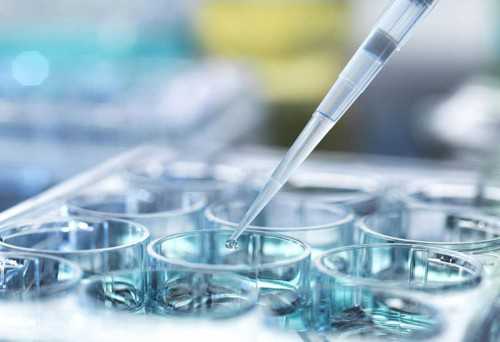 试管三代可以放几个囊胚-三代试管一次可以移植几个囊胚