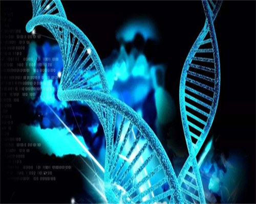 专业借卵服务：女性排卵期持续几天？月经后多少天是排卵期？