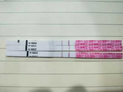 卵泡扁是不是质量不好?检查卵泡质量怎么检查?