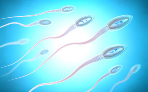 试管供卵排名-试管移植后忌口的水果,试管移植后可以吃什么水果比较好?