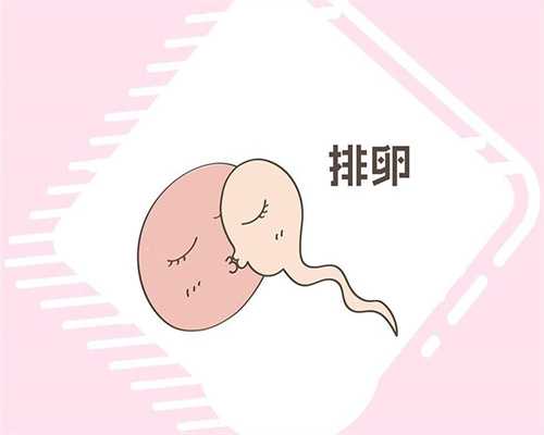 代生子生男孩-喝当归黄芪党参炖鸡汤会上火吗