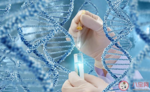 多次人流子宫内膜薄还能恢复吗子宫内膜薄怎么办呢?