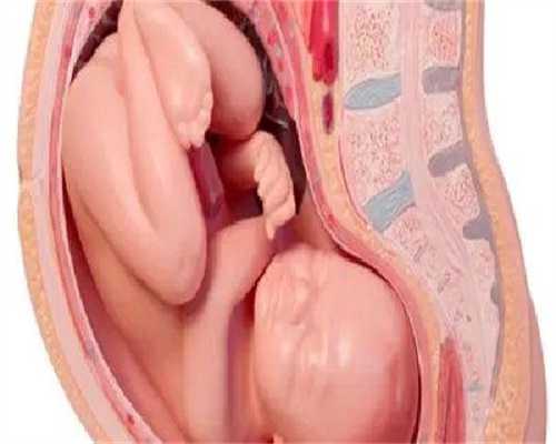 试管代生女孩-停黄体酮几天来例假