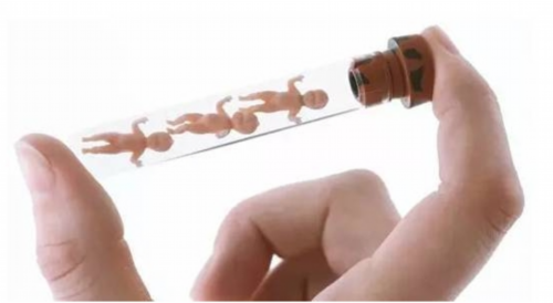 宫寒引起子宫动脉血流吗