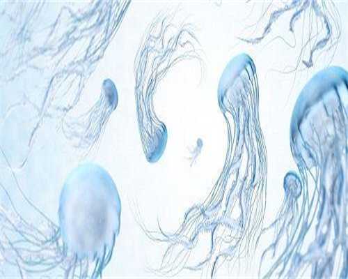 包成功代怀网-肺结核多久能同房？