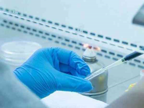 助孕咨询联系:试管移植前雌二醇标准是什么？