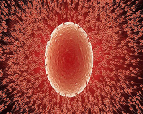 助孕捐卵-b超有两点-基本都是男生?怀孕男孩的b超特征?