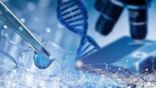 孕13周nt值正常范围