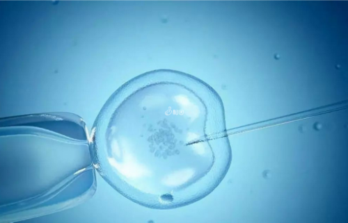 试管捐卵代怀-重庆女人为什么会输卵管堵塞医院,女人为什么会输卵管堵塞