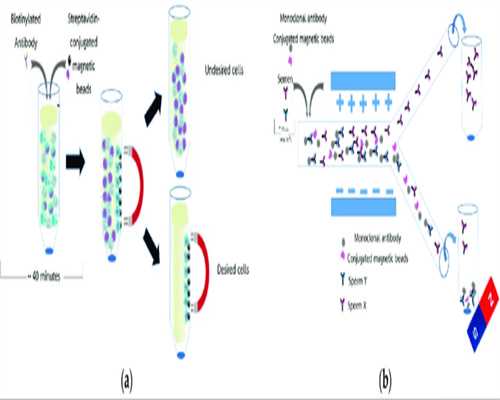 月经推迟还会排卵吗?