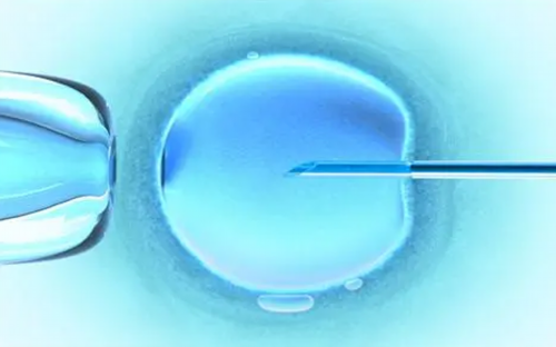 hcg验血同房后多久可以验孕怀孕