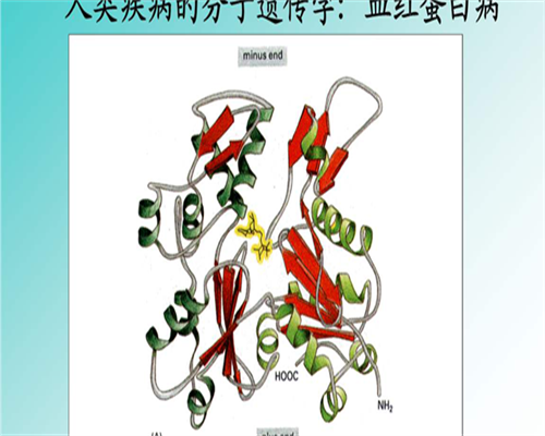 [康泰新冠疫苗安全可靠吗]康泰新冠疫苗