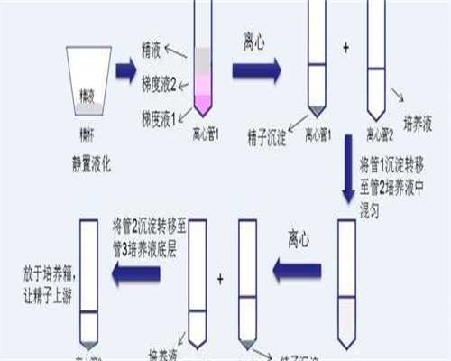 代怀孕包出生-男人吃黑豆肾吗黑豆薏米的技巧